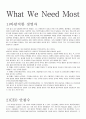 CEO로써의 안철수 평가하기  1페이지