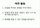 유아 조리활동 학습지도안 - 새콤달콤 과일화채 5페이지