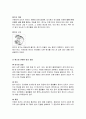 카메라 렌즈의 특징, 종류, 빛의 성질, 화각, 역할,  사용법, 특징, 차이, 현황, 분석, 시사점, 총체적 조사분석 4페이지