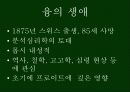 융(Carl gustav jung)의 분석심리학 4페이지