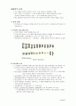 성차심리학 요약본 12페이지