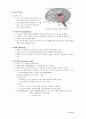 성차심리학 요약본 15페이지