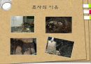 애견훈련학교 실태조사 3페이지