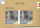 애견훈련학교 실태조사 7페이지