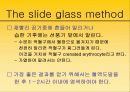 혈액도말 표본 제작의 관찰 19페이지