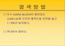 혈액도말 표본 제작의 관찰 26페이지