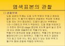 혈액도말 표본 제작의 관찰 30페이지