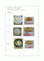 사과 하나로 할 수 있는 유아과학활동 8페이지