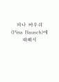 피나바우쉬에 대해서 1페이지