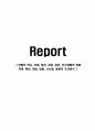 연필의 역사, 유래, 발전, 과정, 원리, 인간생활의 변화, 의의, 특징, 개념, 방법, 시사점, 총체적 조사분석 1페이지