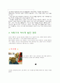 세탁기의 역사, 유래, 발전, 과정, 원리, 인간생활의 변화, 의의, 특징, 개념, 방법, 시사점, 총체적 조사분석 4페이지
