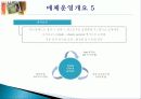 HD급 고화질의 동영상 재생을 실현한 ‘신개념 동영상 광고 시스템’ - 드림윈도우 LCD 광고제안서 16페이지