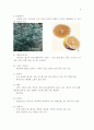 아로마테라피의 종류와 효능 6페이지