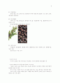 아로마테라피의 종류와 효능 8페이지