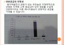 원자력 발전소의 문제 - 원자력 발전의 정의, 장점, 문제점, 피해사례, 결론 10페이지