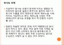 원자력 발전소의 문제 - 원자력 발전의 정의, 장점, 문제점, 피해사례, 결론 27페이지