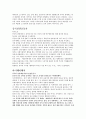 중국의 소수민족문제 3페이지