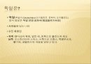 다문화의 이해 - 독일 3페이지