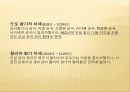 다문화의 이해 - 독일 10페이지