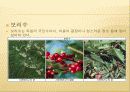 다문화의 이해 - 독일 45페이지