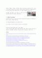 항공기 이용시 지켜야할 에티켓 4페이지