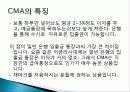 단기금융상품 재테크의 이유, 종류, 방법, 개념, 특징, 고려사항, 효과, 특징, 성과, 문제점, 해결방안, 총체적 조사분석 5페이지