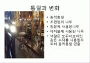 스스로하는 인테리어디자인 리포트 9페이지