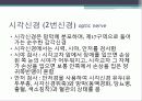 말초신경계 5페이지