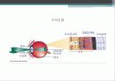 말초신경계 6페이지