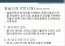 말초신경계 17페이지