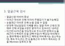 말초신경계 18페이지