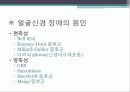 말초신경계 21페이지