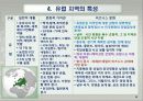 대륙별 각 지역별  문화적 특성 6페이지