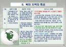 대륙별 각 지역별  문화적 특성 8페이지