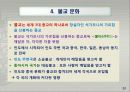 대륙별 각 지역별  문화적 특성 25페이지