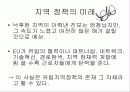 유럽연합(EU)의 지역정책 (Region) 11페이지