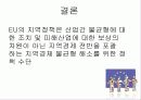 유럽연합(EU)의 지역정책 (Region) 13페이지