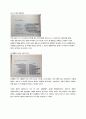 프랑스 정치와 유럽연합 보고서 19페이지