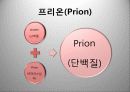 광우병 발표 PPT자료 6페이지