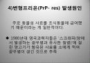 광우병 발표 PPT자료 13페이지