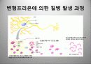 광우병 발표 PPT자료 15페이지