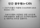 광우병 발표 PPT자료 16페이지