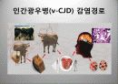 광우병 발표 PPT자료 18페이지