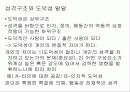 도덕발달심리학 - 성격이론적 접근 03 10페이지