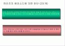 [도덕발달심리학] 인지적 발달 01 21페이지