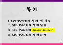 SDS-PAGE란 2페이지