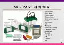 SDS-PAGE란 7페이지