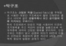 막구조 4페이지