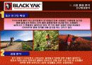 블랙야크(Black Yak) 마케팅전략분석/ 서론/아웃도어 시장현황/시장환경분석/스포츠 용품산업구조분석/자사분석/경쟁환경분석/광고분석/STP전략/ SWOT분석/4p분석 14페이지
