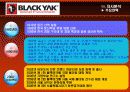 블랙야크(Black Yak) 마케팅전략분석/ 서론/아웃도어 시장현황/시장환경분석/스포츠 용품산업구조분석/자사분석/경쟁환경분석/광고분석/STP전략/ SWOT분석/4p분석 29페이지